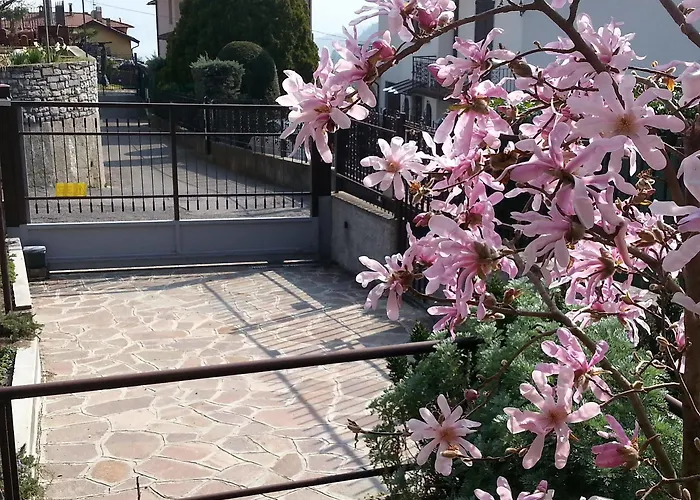 Co.ri. Апартаменты *